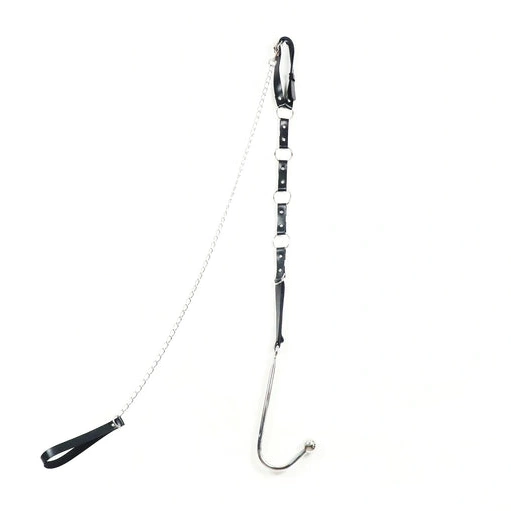 5853 Anal with Leash EverydayUse Kinky and Collar Hook 0820